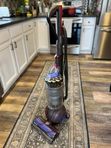 Dyson Ball Animal 3 Review